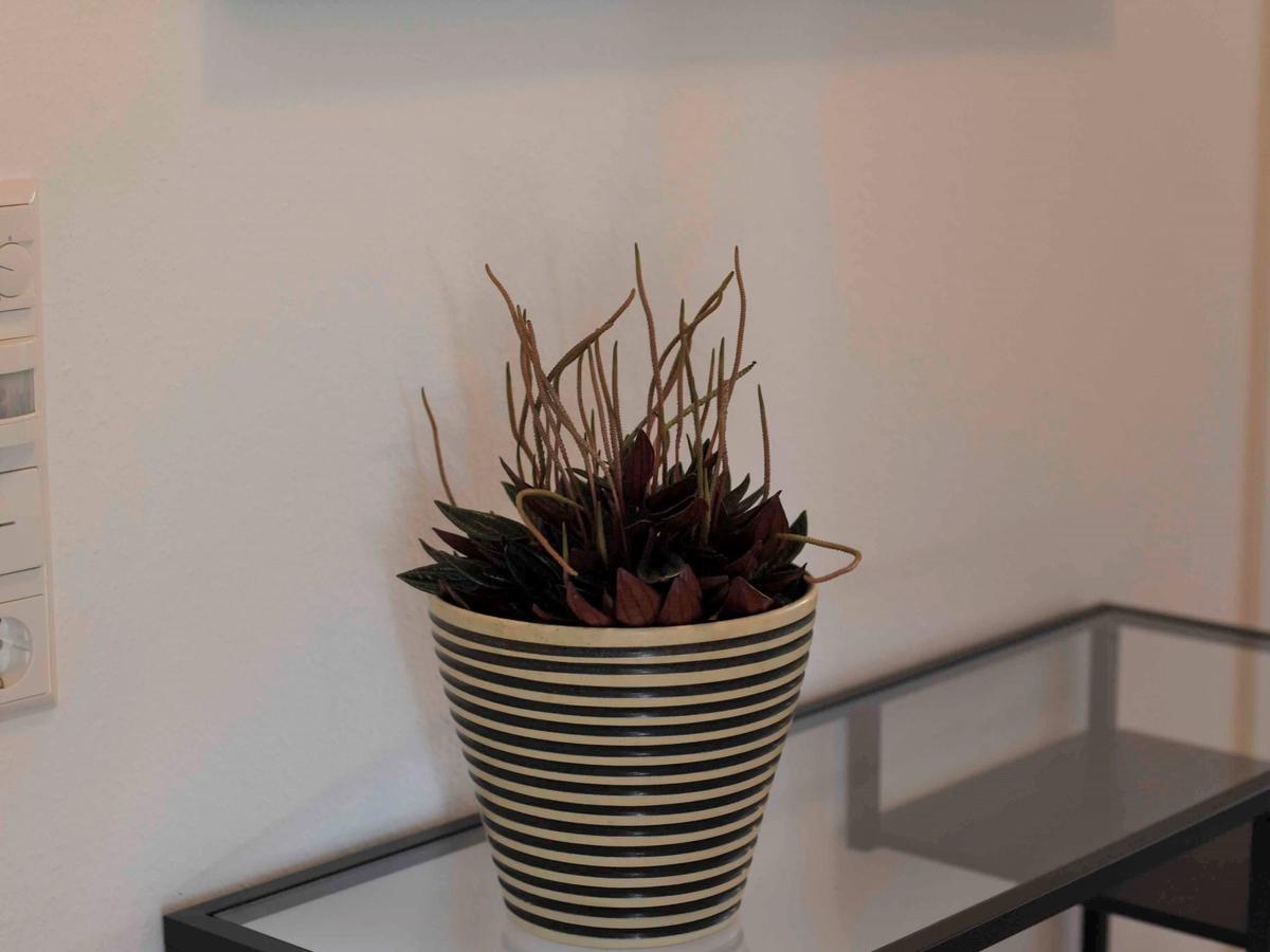 Winterlingen Ferienwohnung Im Weiler מראה חיצוני תמונה